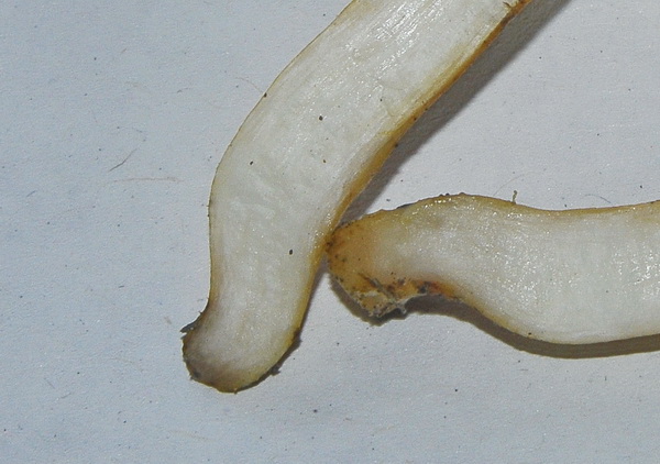 Quiz di San Valentino....